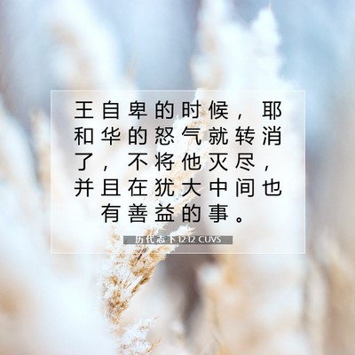 Picture 07 - 历 代 志 下 12:12 CUVS - 王 自 卑 的 时 候 ， 耶 和 华 的 怒 - Bible Verse Picture