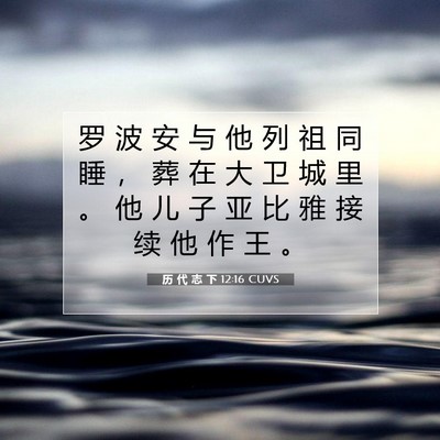 Picture 07 - 历 代 志 下 12:16 CUVS - 罗 波 安 与 他 列 祖 同 睡 ， 葬 在 - Bible Verse Picture