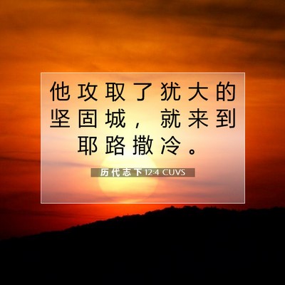 Picture 07 - 历 代 志 下 12:4 CUVS - 他 攻 取 了 犹 大 的 坚 固 城 ， 就 - Bible Verse Picture