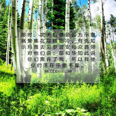 Picture 07 - 历 代 志 下 12:5 CUVS - 那 时 ， 犹 大 的 首 领 因 为 示 撒 - Bible Verse Picture