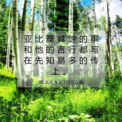 Picture 07 - 历 代 志 下 13:22 CUVS - 亚 比 雅 其 馀 的 事 和 他 的 言 行 - Bible Verse Picture