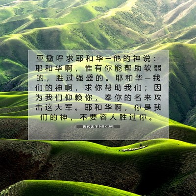 Picture 07 - 历 代 志 下 14:11 CUVS - 亚 撒 呼 求 耶 和 华 ─ 他 的 神 说 - Bible Verse Picture