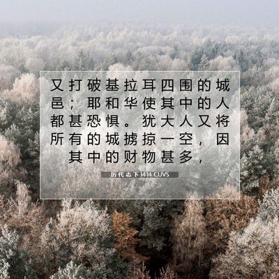Picture 07 - 历 代 志 下 14:14 CUVS - 又 打 破 基 拉 耳 四 围 的 城 邑 ； - Bible Verse Picture
