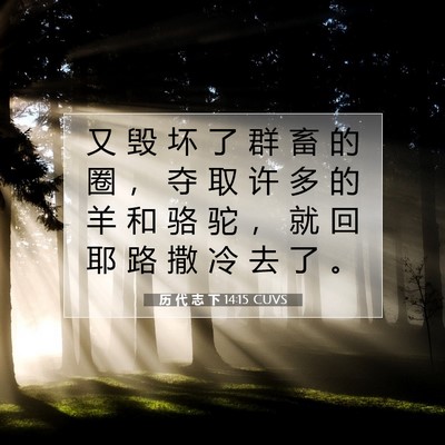 Picture 07 - 历 代 志 下 14:15 CUVS - 又 毁 坏 了 群 畜 的 圈 ， 夺 取 许 - Bible Verse Picture