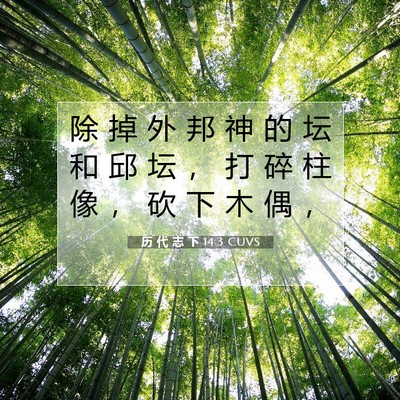 Picture 07 - 历 代 志 下 14:3 CUVS - 除 掉 外 邦 神 的 坛 和 邱 坛 ， 打 - Bible Verse Picture