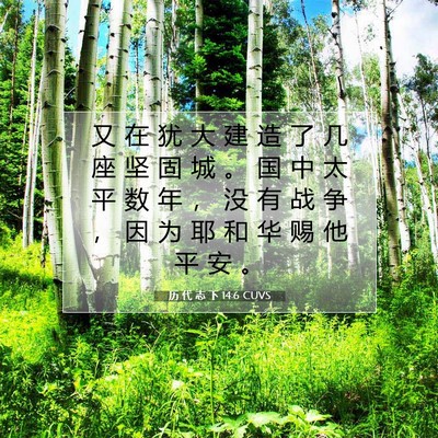 Picture 07 - 历 代 志 下 14:6 CUVS - 又 在 犹 大 建 造 了 几 座 坚 固 城 - Bible Verse Picture