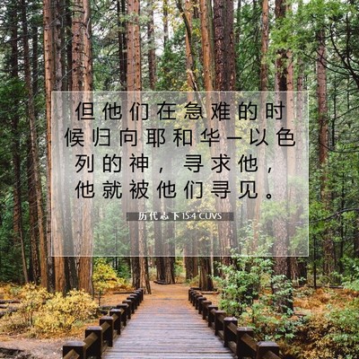 Picture 07 - 历 代 志 下 15:4 CUVS - 但 他 们 在 急 难 的 时 候 归 向 耶 - Bible Verse Picture