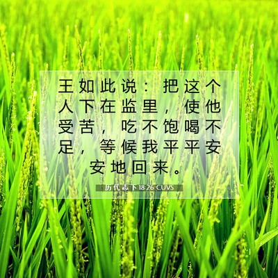 Picture 07 - 历 代 志 下 18:26 CUVS - 王 如 此 说 ： 把 这 个 人 下 在 监 - Bible Verse Picture