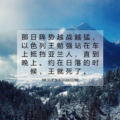 Picture 07 - 历 代 志 下 18:34 CUVS - 那 日 阵 势 越 战 越 猛 ， 以 色 列 - Bible Verse Picture