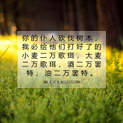 Picture 07 - 历 代 志 下 2:10 CUVS - 你 的 仆 人 砍 伐 树 木 ， 我 必 给 - Bible Verse Picture