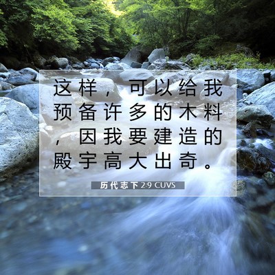 Picture 07 - 历 代 志 下 2:9 CUVS - 这 样 ， 可 以 给 我 预 备 许 多 的 - Bible Verse Picture