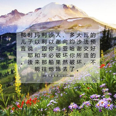 Picture 07 - 历 代 志 下 20:37 CUVS - 那 时 玛 利 沙 人 、 多 大 瓦 的 儿 - Bible Verse Picture