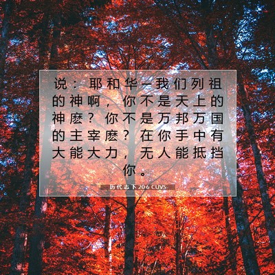 Picture 07 - 历 代 志 下 20:6 CUVS - 说 ： 耶 和 华 ─ 我 们 列 祖 的 神 - Bible Verse Picture