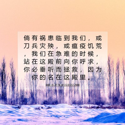 Picture 07 - 历 代 志 下 20:9 CUVS - 倘 有 祸 患 临 到 我 们 ， 或 刀 兵 - Bible Verse Picture
