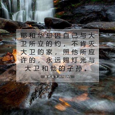 Picture 07 - 历 代 志 下 21:7 CUVS - 耶 和 华 却 因 自 己 与 大 卫 所 立 - Bible Verse Picture