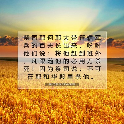 Picture 07 - 历 代 志 下 23:14 CUVS - 祭 司 耶 何 耶 大 带 管 辖 军 兵 的 - Bible Verse Picture