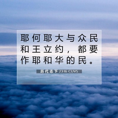 Picture 07 - 历 代 志 下 23:16 CUVS - 耶 何 耶 大 与 众 民 和 王 立 约 ， - Bible Verse Picture
