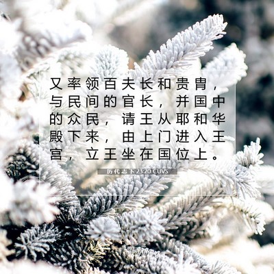 Picture 07 - 历 代 志 下 23:20 CUVS - 又 率 领 百 夫 长 和 贵 胄 ， 与 民 - Bible Verse Picture