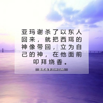Picture 07 - 历 代 志 下 25:14 CUVS - 亚 玛 谢 杀 了 以 东 人 回 来 ， 就 - Bible Verse Picture