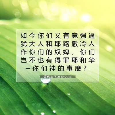 Picture 07 - 历 代 志 下 28:10 CUVS - 如 今 你 们 又 有 意 强 逼 犹 大 人 - Bible Verse Picture
