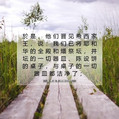 Picture 07 - 历 代 志 下 29:18 CUVS - 於 是 ， 他 们 晋 见 希 西 家 王 ， - Bible Verse Picture