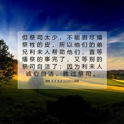 Picture 07 - 历 代 志 下 29:34 CUVS - 但 祭 司 太 少 ， 不 能 剥 尽 燔 祭 - Bible Verse Picture