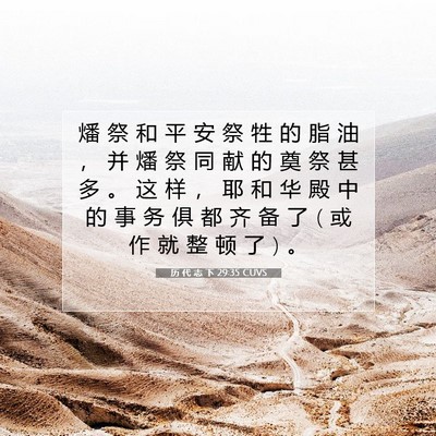 Picture 07 - 历 代 志 下 29:35 CUVS - 燔 祭 和 平 安 祭 牲 的 脂 油 ， 并 - Bible Verse Picture