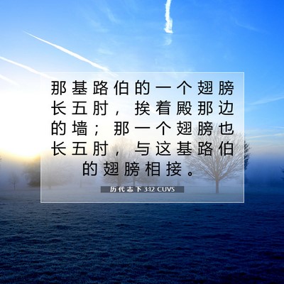 Picture 07 - 历 代 志 下 3:12 CUVS - 那 基 路 伯 的 一 个 翅 膀 长 五 肘 - Bible Verse Picture