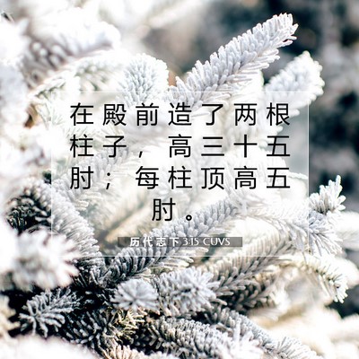Picture 07 - 历 代 志 下 3:15 CUVS - 在 殿 前 造 了 两 根 柱 子 ， 高 三 - Bible Verse Picture