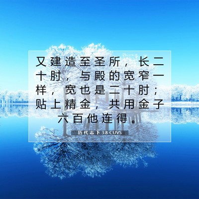 Picture 07 - 历 代 志 下 3:8 CUVS - 又 建 造 至 圣 所 ， 长 二 十 肘 ， - Bible Verse Picture