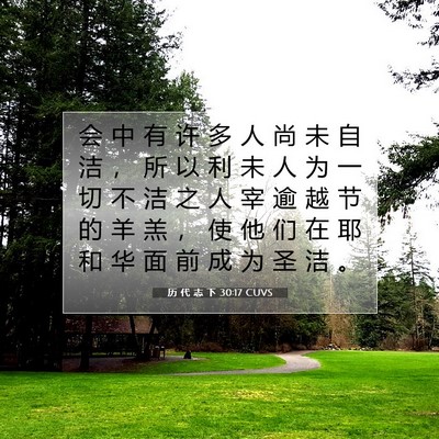 Picture 07 - 历 代 志 下 30:17 CUVS - 会 中 有 许 多 人 尚 未 自 洁 ， 所 - Bible Verse Picture