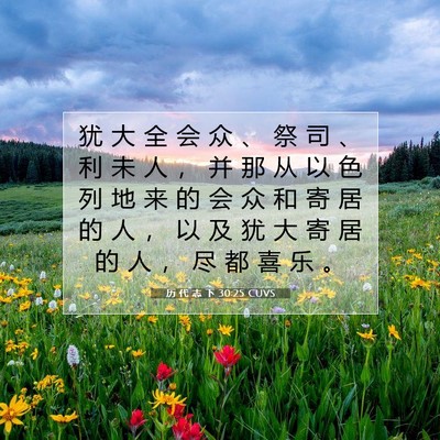 Picture 07 - 历 代 志 下 30:25 CUVS - 犹 大 全 会 众 、 祭 司 、 利 未 人 - Bible Verse Picture