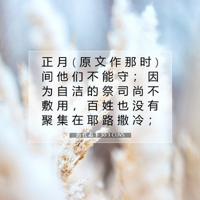 Picture 07 - 历 代 志 下 30:3 CUVS - 正 月 ( 原 文 作 那 时 ) 间 他 们 不 - Bible Verse Picture