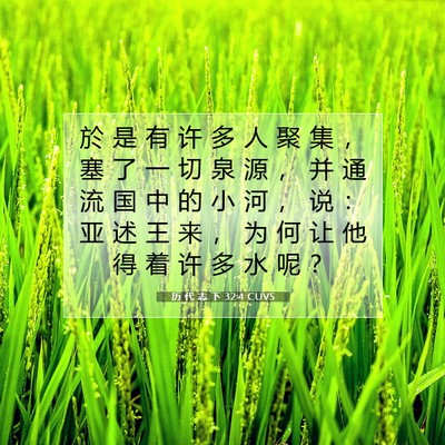 Picture 07 - 历 代 志 下 32:4 CUVS - 於 是 有 许 多 人 聚 集 ， 塞 了 一 - Bible Verse Picture