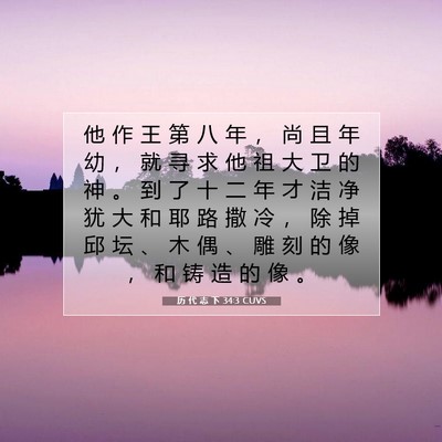 Picture 07 - 历 代 志 下 34:3 CUVS - 他 作 王 第 八 年 ， 尚 且 年 幼 ， - Bible Verse Picture