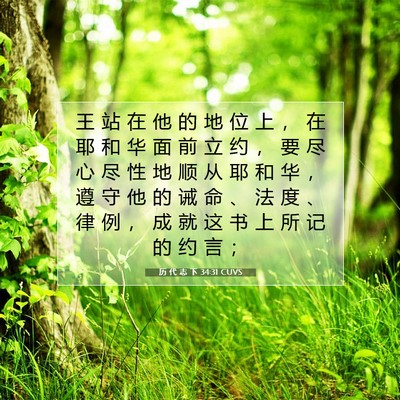 Picture 07 - 历 代 志 下 34:31 CUVS - 王 站 在 他 的 地 位 上 ， 在 耶 和 - Bible Verse Picture
