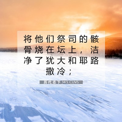 Picture 07 - 历 代 志 下 34:5 CUVS - 将 他 们 祭 司 的 骸 骨 烧 在 坛 上 - Bible Verse Picture