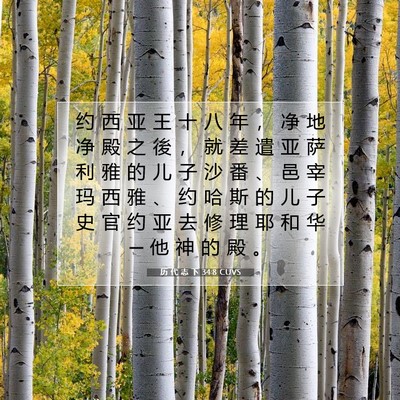 Picture 07 - 历 代 志 下 34:8 CUVS - 约 西 亚 王 十 八 年 ， 净 地 净 殿 - Bible Verse Picture