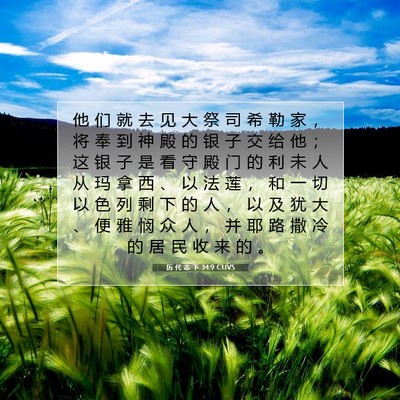 Picture 07 - 历 代 志 下 34:9 CUVS - 他 们 就 去 见 大 祭 司 希 勒 家 ， - Bible Verse Picture