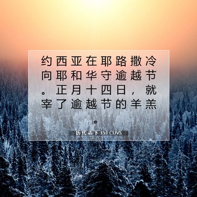 Picture 07 - 历 代 志 下 35:1 CUVS - 约 西 亚 在 耶 路 撒 冷 向 耶 和 华 - Bible Verse Picture