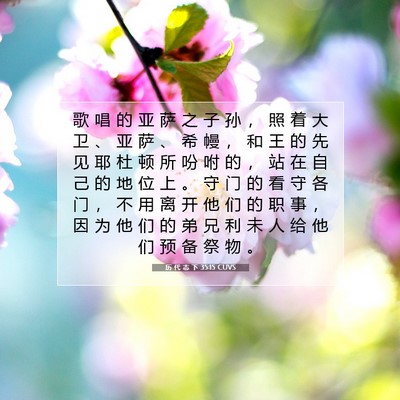 Picture 07 - 历 代 志 下 35:15 CUVS - 歌 唱 的 亚 萨 之 子 孙 ， 照 着 大 - Bible Verse Picture