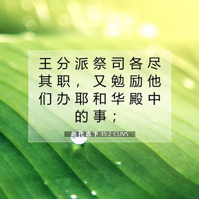 Picture 07 - 历 代 志 下 35:2 CUVS - 王 分 派 祭 司 各 尽 其 职 ， 又 勉 - Bible Verse Picture