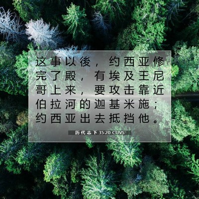 Picture 07 - 历 代 志 下 35:20 CUVS - 这 事 以 後 ， 约 西 亚 修 完 了 殿 - Bible Verse Picture