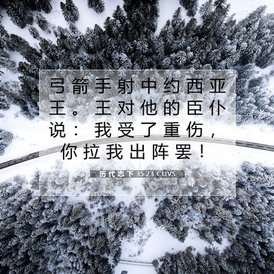 Picture 07 - 历 代 志 下 35:23 CUVS - 弓 箭 手 射 中 约 西 亚 王 。 王 对 - Bible Verse Picture