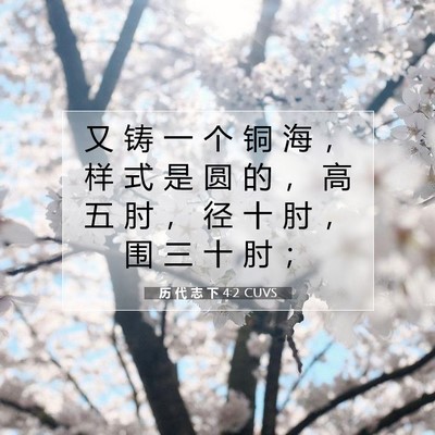 Picture 07 - 历 代 志 下 4:2 CUVS - 又 铸 一 个 铜 海 ， 样 式 是 圆 的 - Bible Verse Picture