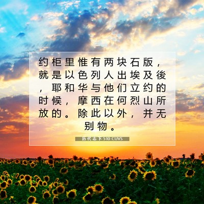 Picture 07 - 历 代 志 下 5:10 CUVS - 约 柜 里 惟 有 两 块 石 版 ， 就 是 - Bible Verse Picture