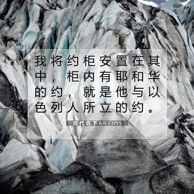 Picture 07 - 历 代 志 下 6:11 CUVS - 我 将 约 柜 安 置 在 其 中 ， 柜 内 - Bible Verse Picture