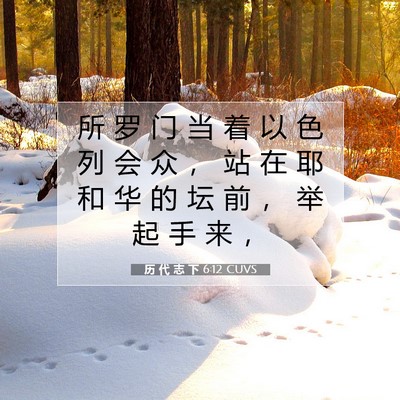 Picture 07 - 历 代 志 下 6:12 CUVS - 所 罗 门 当 着 以 色 列 会 众 ， 站 - Bible Verse Picture