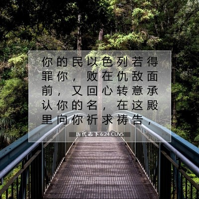 Picture 07 - 历 代 志 下 6:24 CUVS - 你 的 民 以 色 列 若 得 罪 你 ， 败 - Bible Verse Picture