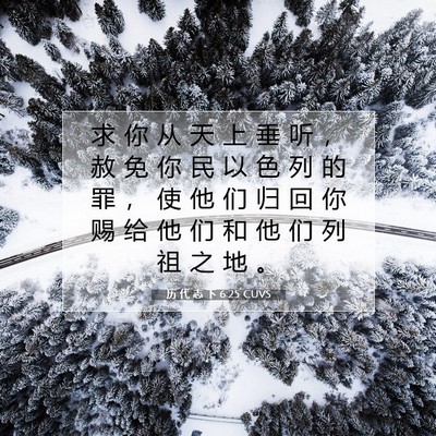 Picture 07 - 历 代 志 下 6:25 CUVS - 求 你 从 天 上 垂 听 ， 赦 免 你 民 - Bible Verse Picture
